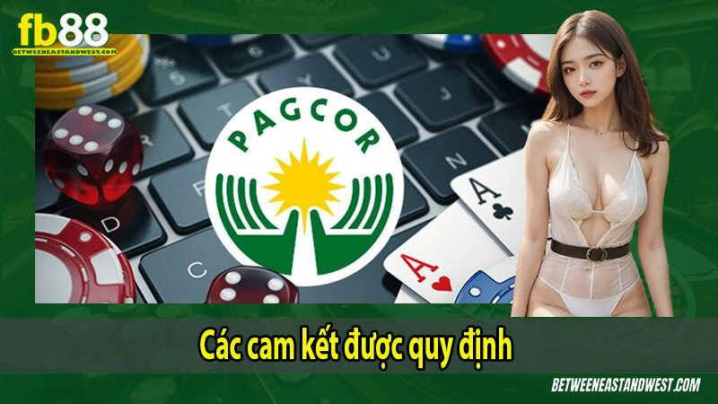 Cam kết vận hành minh bạch sau khi được cấp phép